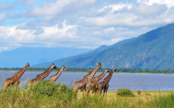 3 or 5 Night Safari & Fruit & Spice Wellness Resort 5*