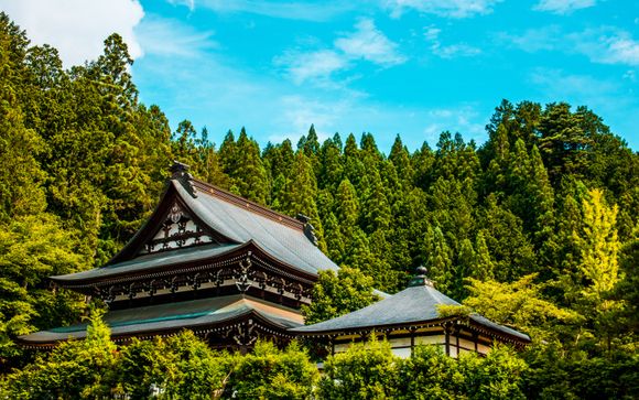 Your itinerary in detail