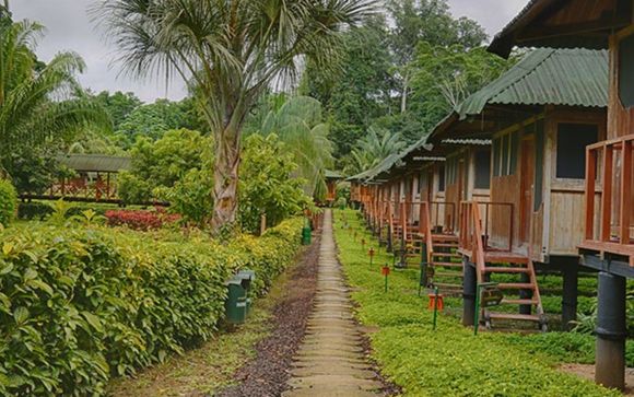 Your Itinerary In Detail