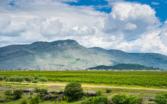 Your Itinerary In Detail