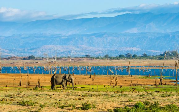 Your Optional Excursions