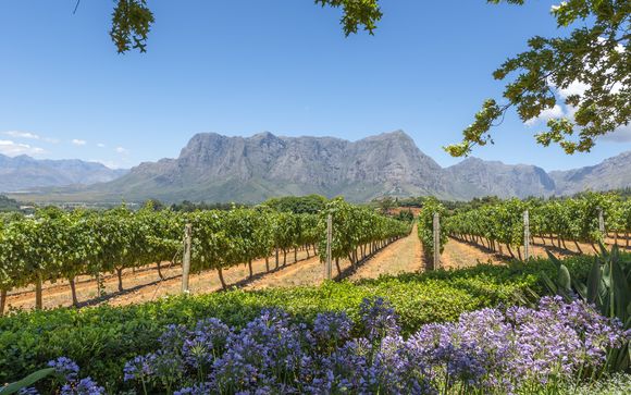 Your Optional Excursions 