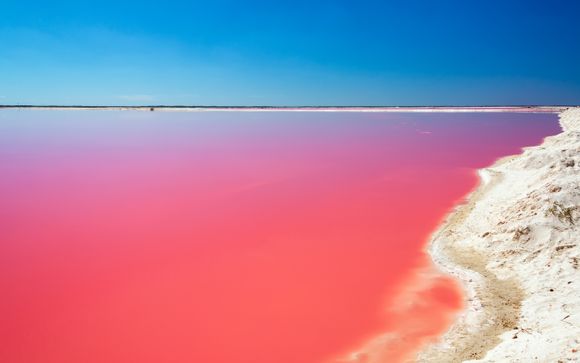 Your Optional Excursions