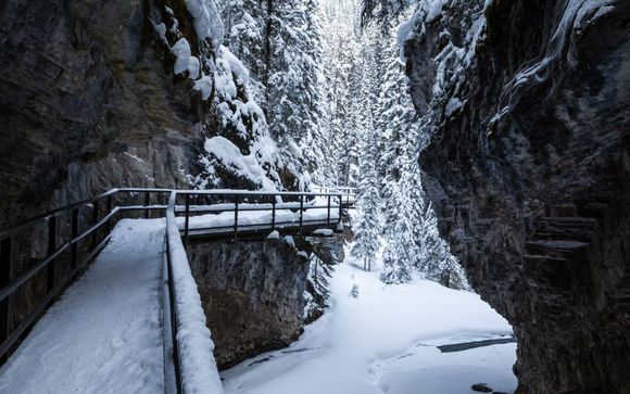 Your Optional Excursions