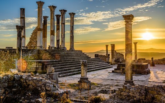 Your Optional Excursions