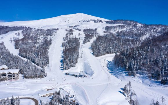 Your Itinerary in Detail