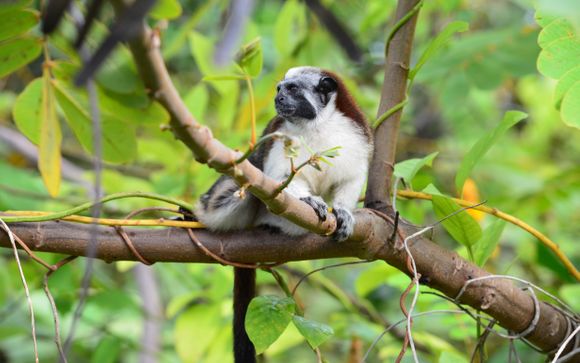 Your Itinerary in Detail