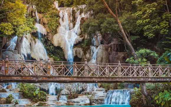 Your Optional Excursions