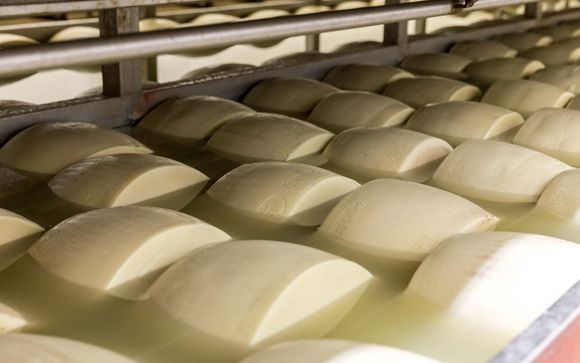 Your Itinerary in Detial