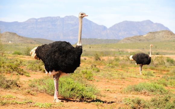 Your Itinerary In Detail