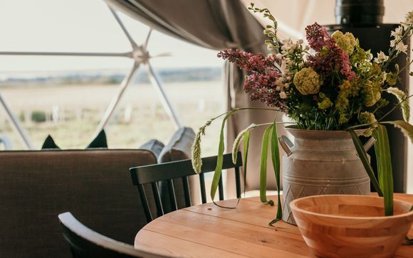 Dome Meadow at Tapnell Farm 5* 