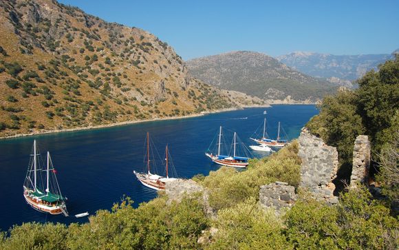 Your Optional Excursions