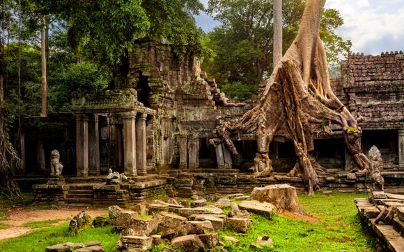 Your Itinerary In Brief