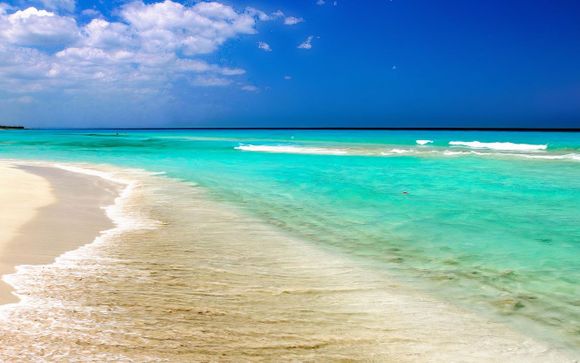 Your Optional Excursions