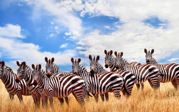 Your itinerary in detail