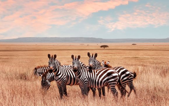 Your itinerary in detail