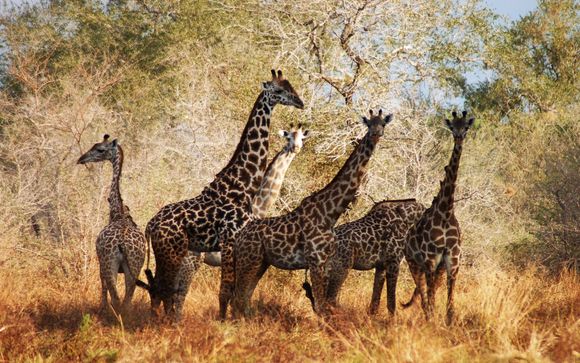 Your holiday at a glance