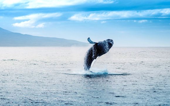 Your included excursions