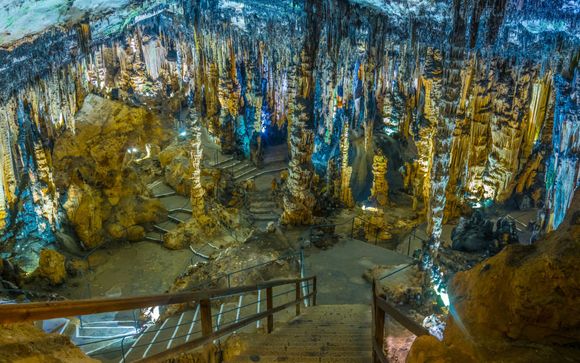 Optional excursions and extras