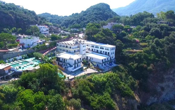 Your hotels