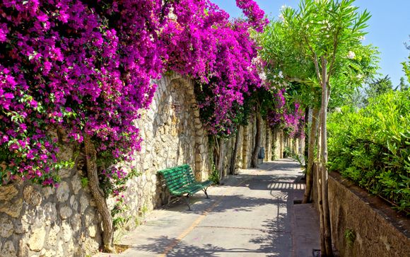 Your itinerary in detail