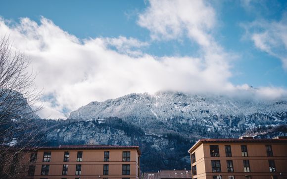 Your ski area