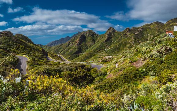 Optional excursions and extras