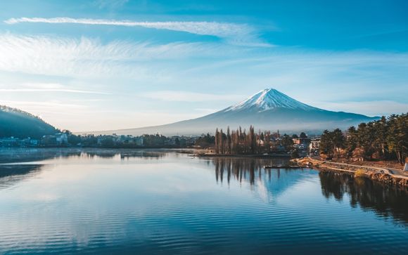 Your itinerary in detail