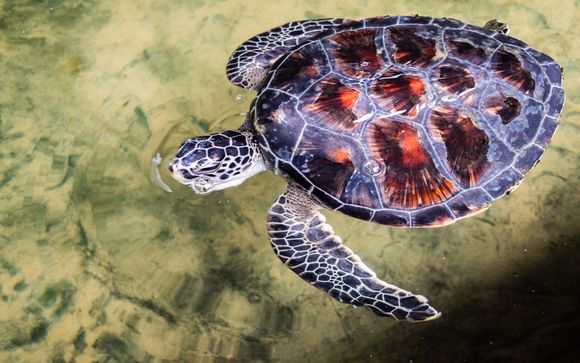 Your itinerary in detail