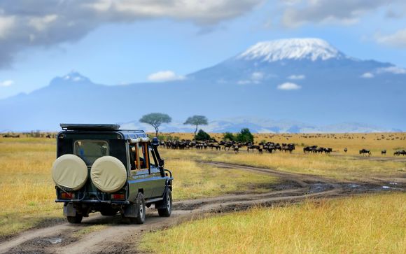 Your optional extras & excursions