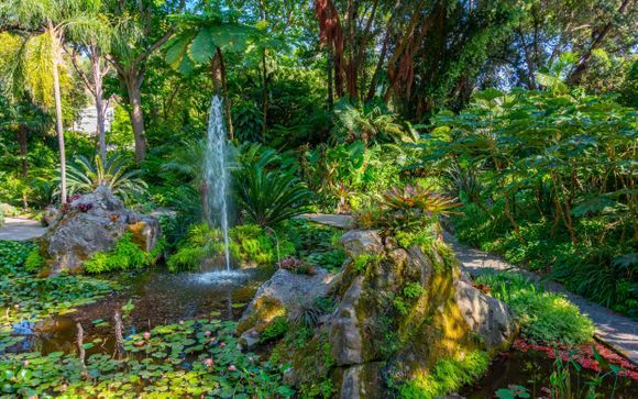 Your optional excursions & extras