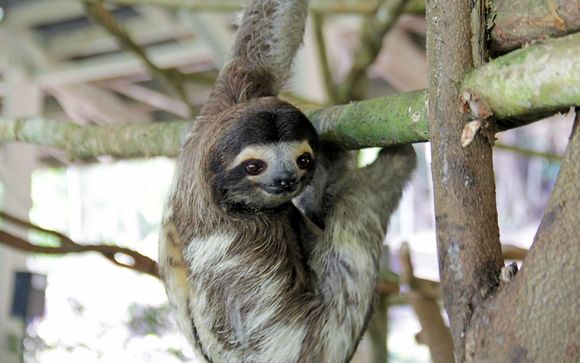 Your itinerary in brief