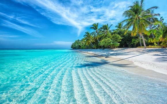 Welcome to the Maldives