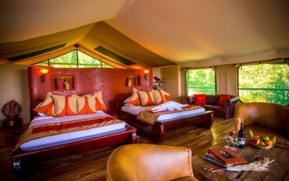 Your hotels