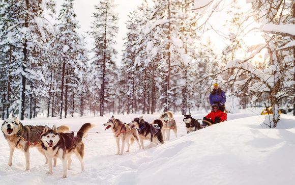 Visit to the husky farm and walk (1 hour)