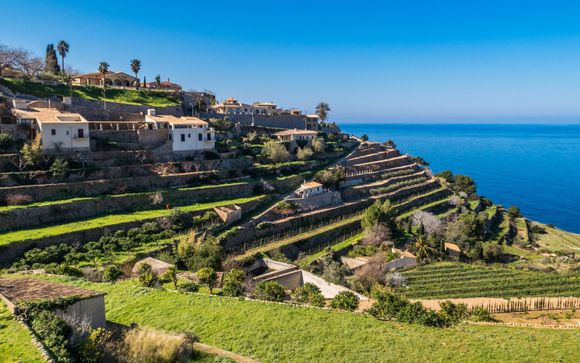 Optional excursions and extras