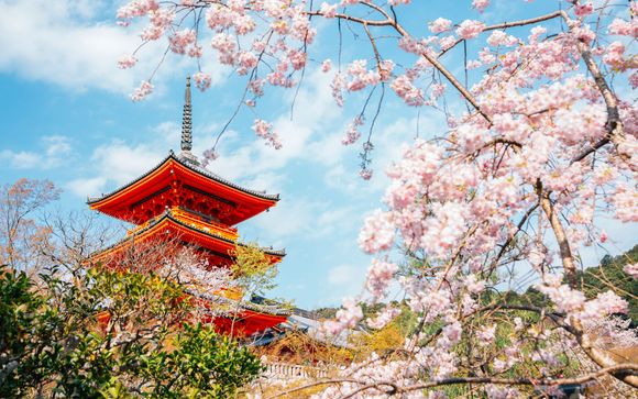 Your itinerary in detail
