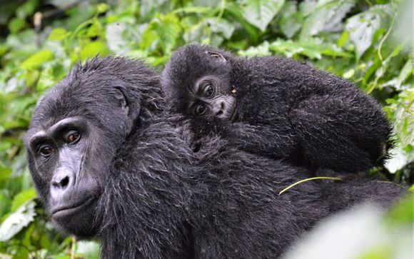 Your itinerary in brief