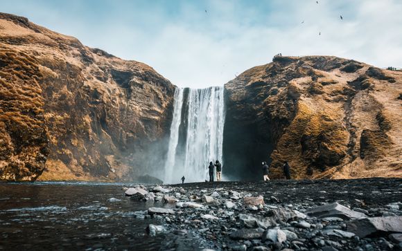 Your itinerary in detail