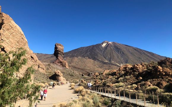 Your optional excursions & extras
