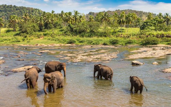 Your itinerary in detail