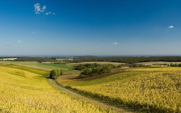 Destination...Loire Valley