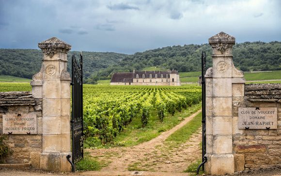 Destination...Burgundy