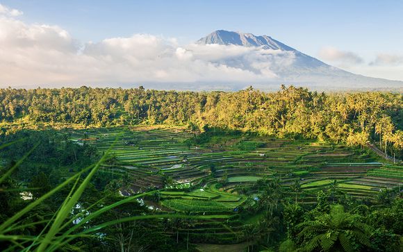 Sthala Ubud, Amed Lodge Sudamala & Sudamala Sanur