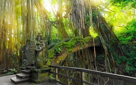 Your Optional Excursions