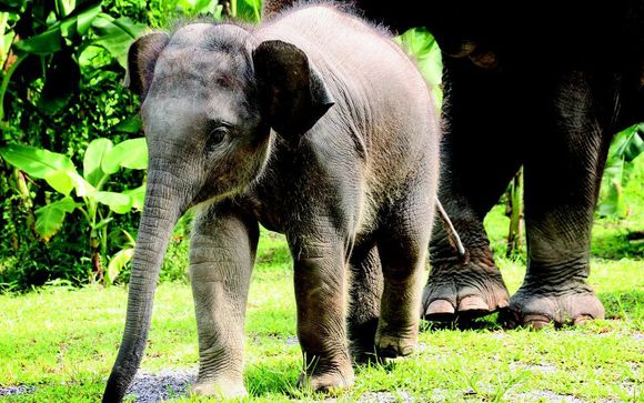 Your Itinerary - 13 nights