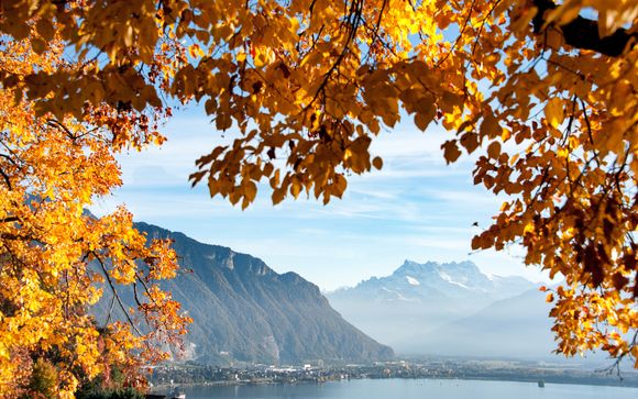 Suisse Majestic 4*