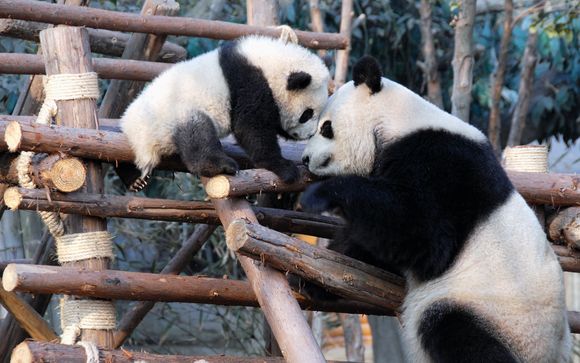 Your Itinerary - Option 1 (Christmas Special)