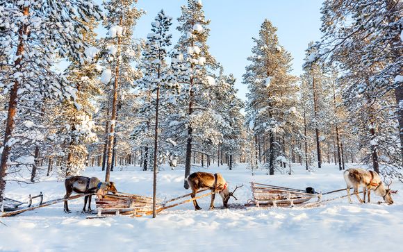 Polar Experience in Scandinavia - Sweden, Finland & Norway