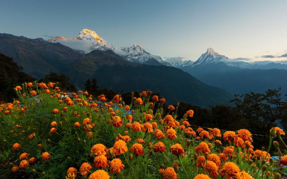 Discovery of Nepal